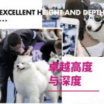 2024韩国首尔国际宠物用品展MRE FAIR PET SHOW ASIA