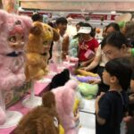 2026越南胡志明国际婴儿用品及玩具博览会 IBTE