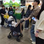 2026年韩国首尔宠物用品展览会 MEGAZOO