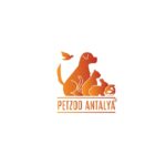 2026年土耳其宠物用品展览会 PETZOO Eurasia